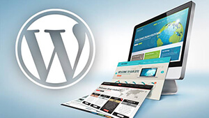 Wordpress Development