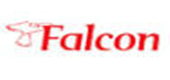 Falcon flights
