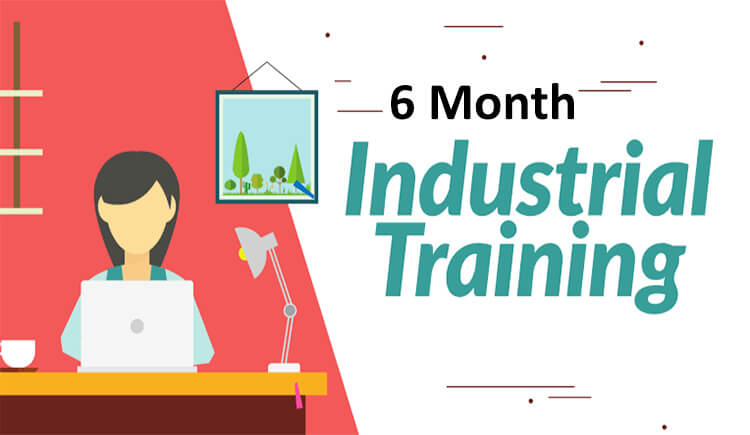 6 Weeks/6 Months Industrial Training