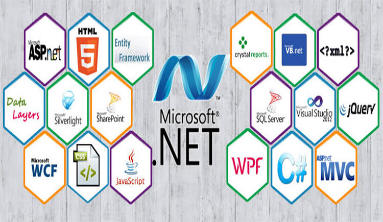 .Net 6 Month Training